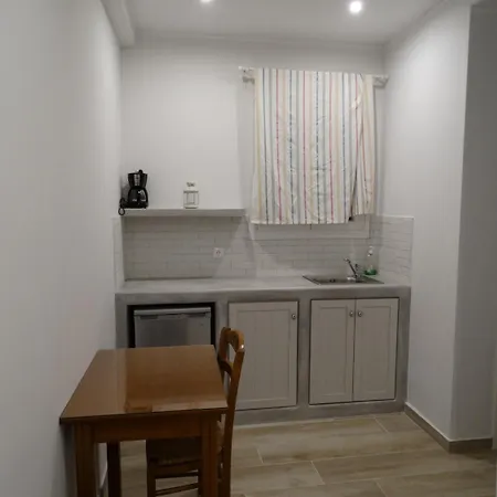 公寓 Naxos Lane Center Naxos City