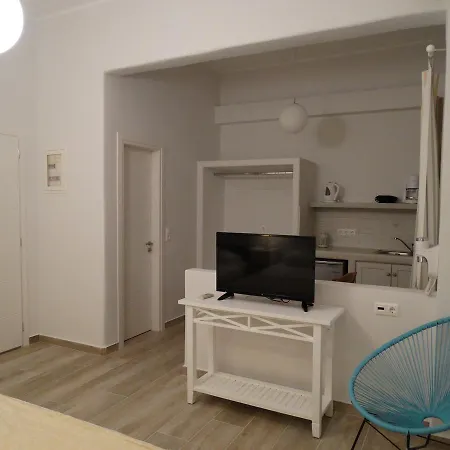 公寓 Naxos Lane Center Naxos City